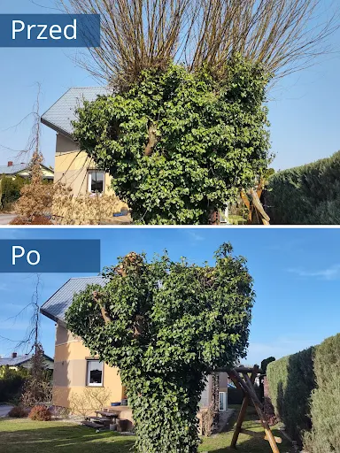 Kaczmarek Usługi Porządkowe i Ogrodnicze